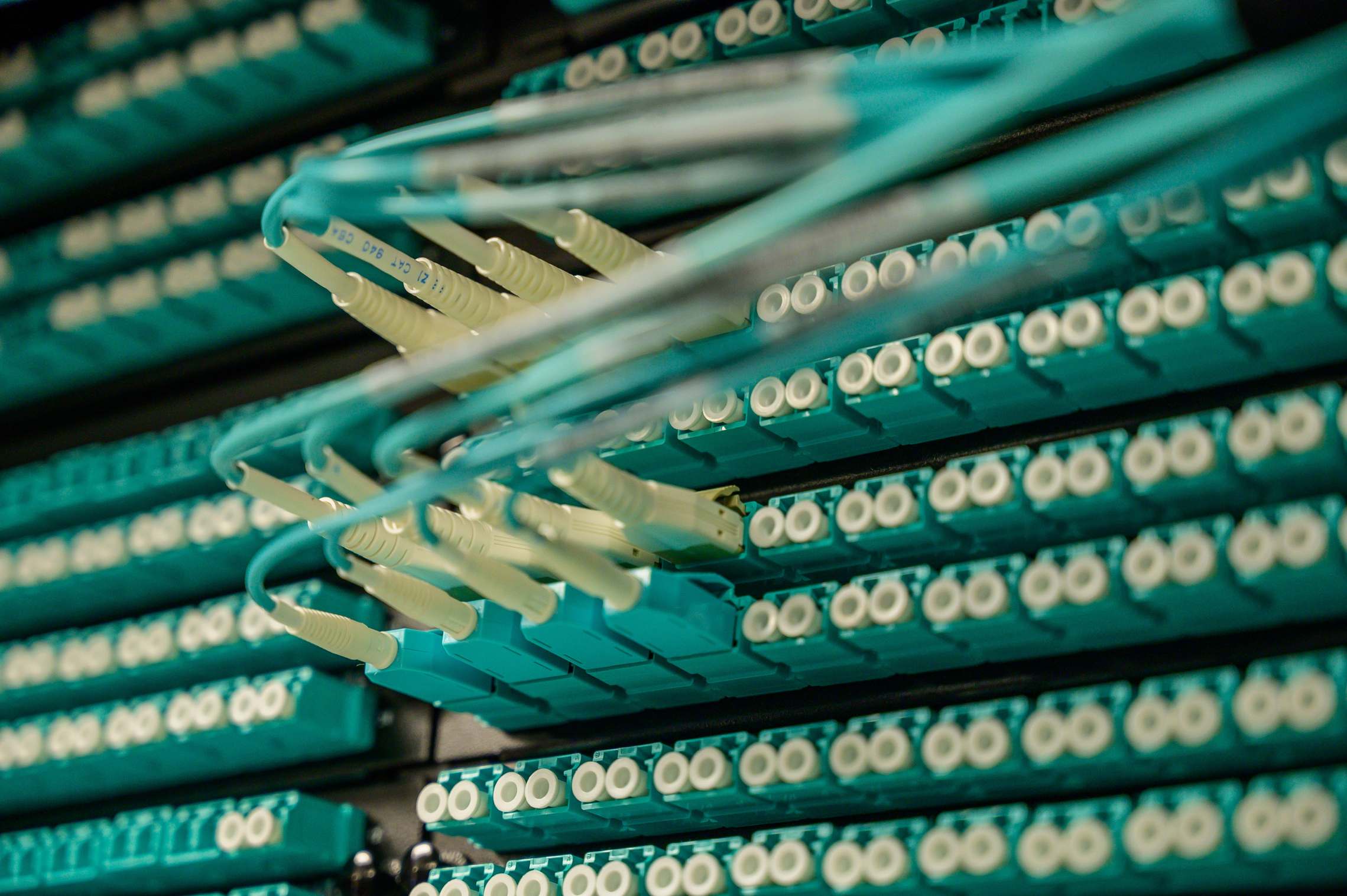 Server racks with network cabling in a data hall